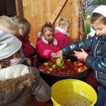 Fleißige Helfer beim Waschen der Äpfel Pressen werden die Äpfel gewaschen