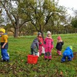 Die Kinder beim Sammeln der Äpfel